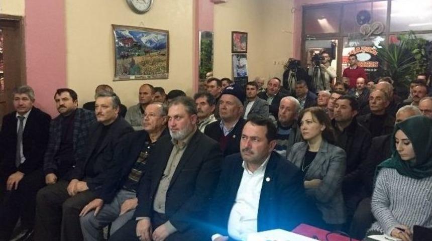 Ceviz Yetiştiricliği Hızla Gelişiyor