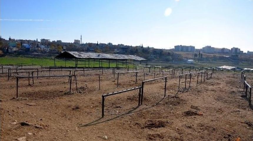 Adıyaman&rsquo;da Şap Hastalığı G&ouml;r&uuml;ld&uuml;