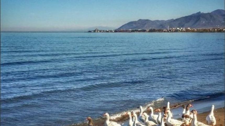 &Ouml;rdekler Sahipsiz Kaldı