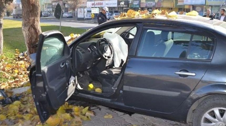 Otomobil Ağaca &Ccedil;arptı