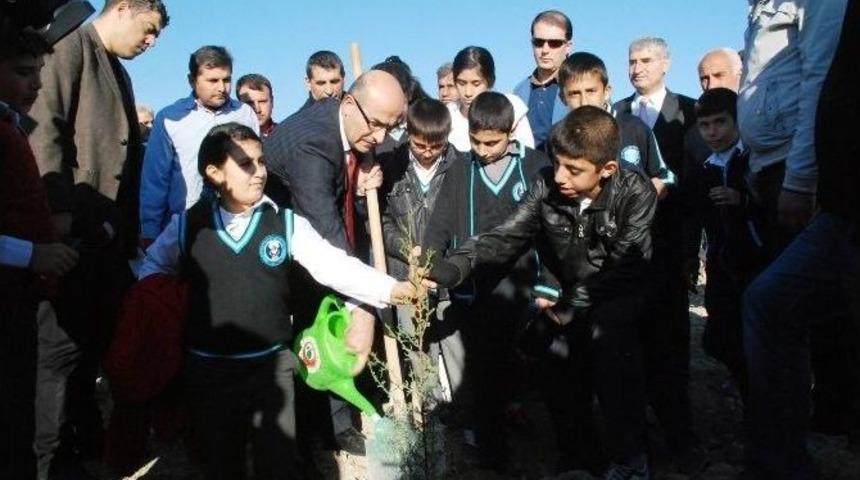 &Ouml;ğrenciler, Kağıt İ&ccedil;in Kesilen Ağa&ccedil;lara Karşılık Fidan Dikti