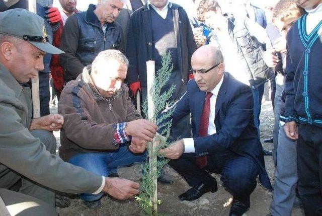 Öğrenciler, Kağıt İçin Kesilen Ağaçlara Karşılık Fidan Dikti