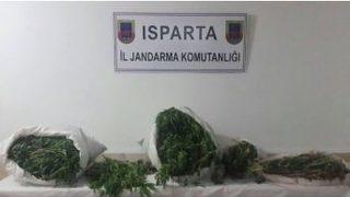 Isparta’da Uyuşturucu Operasyonu: 2 Gözaltı