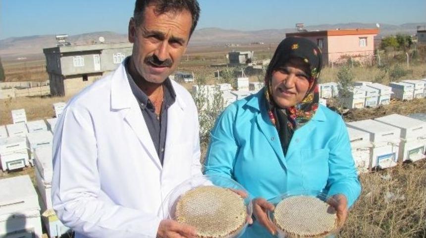Araban&rsquo;da Patentli Organik Bal &Uuml;retimine Başlandı