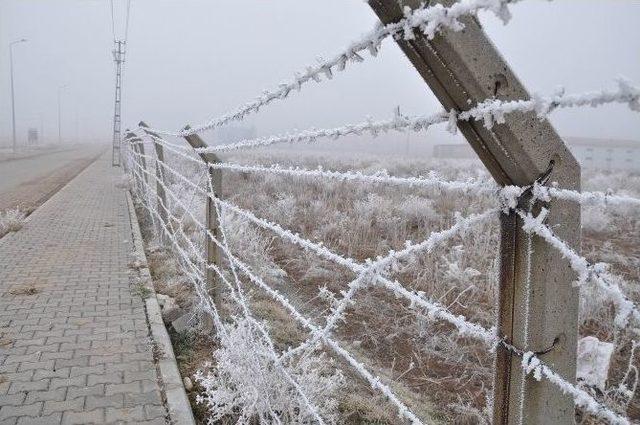 Gemerek’te Sis Ve Soğuk Hava Etkili Oldu