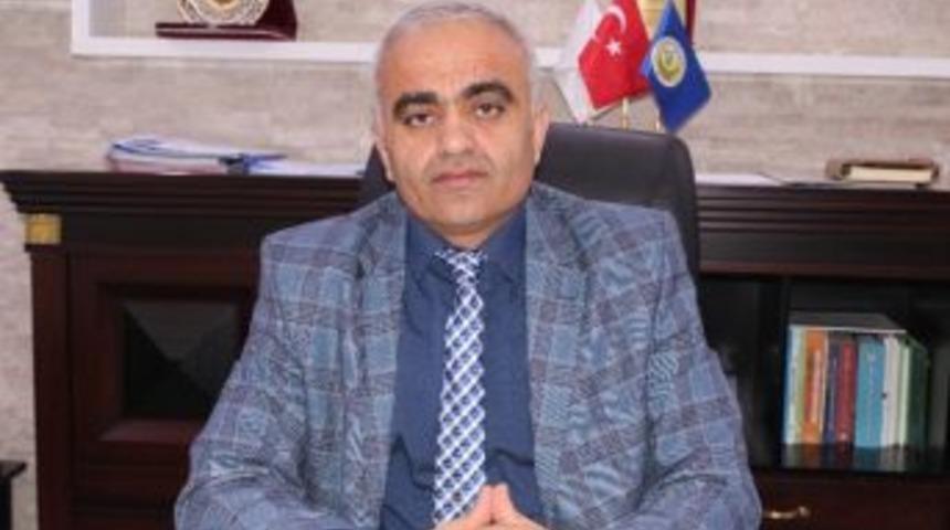 2016 Yılında B&ouml;lgeye 10 Milyon Fidan Dikilecek