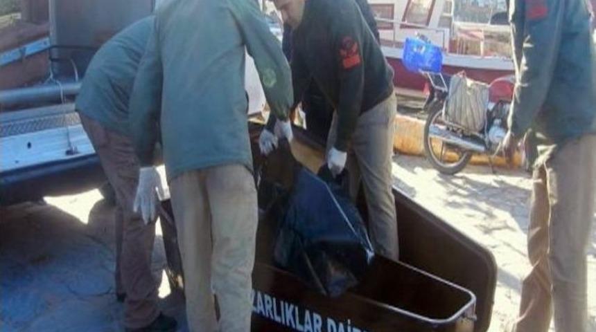 Ege Denizi&rsquo;nde G&ouml;&ccedil;men Faciası: 8 &Ouml;l&uuml;