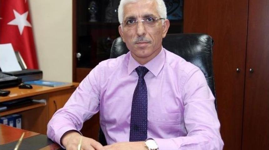 Marmarabirlik Bu Yıl 40 Bin Ton Zeytin Alacak