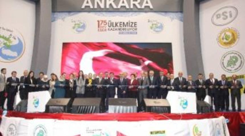 Orman Ve Su İşleri Bakanlığı&rsquo;ndan Antalya&rsquo;ya 36 Milyon Tl&rsquo;lik Yatırım