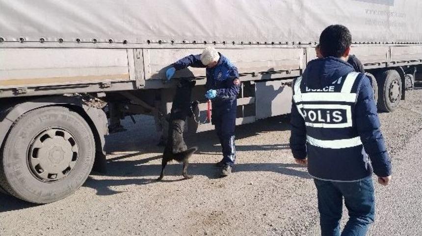 Narkotik K&ouml;peği Shadow İş Başında