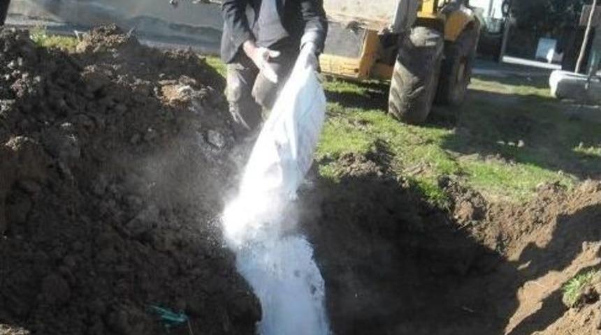 &Ccedil;arşamba&rsquo;da &lsquo;şap Hastalığı&rsquo; Nedeniyle Hayvan Pazarı Kapatıldı