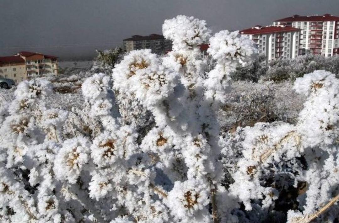 Yozgat&rsquo;ta Sis Ve Kırağı Kartpostallık G&ouml;r&uuml;nt&uuml; Oluşturdu