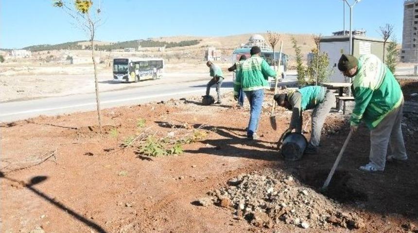 Karaköprü Belediyesi’nden Yeni Park Çalışması