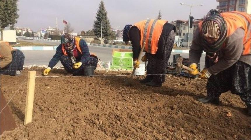 Beyşehir Bahara Şimdiden Hazırlanıyor