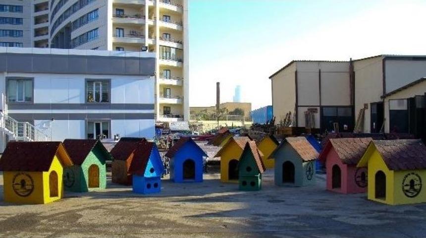 Maltepe Belediyesi&rsquo;nden Sokaktaki Dostlarına Rengarenk Yuvalar