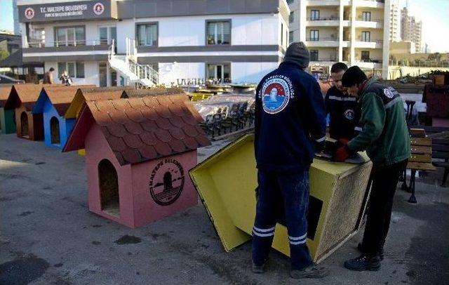 Maltepe Belediyesi’nden Sokaktaki Dostlarına Rengarenk Yuvalar