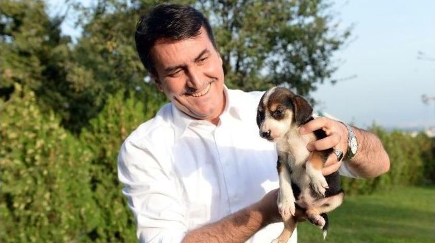 Can Dostlar Artık Sahipsiz Değil