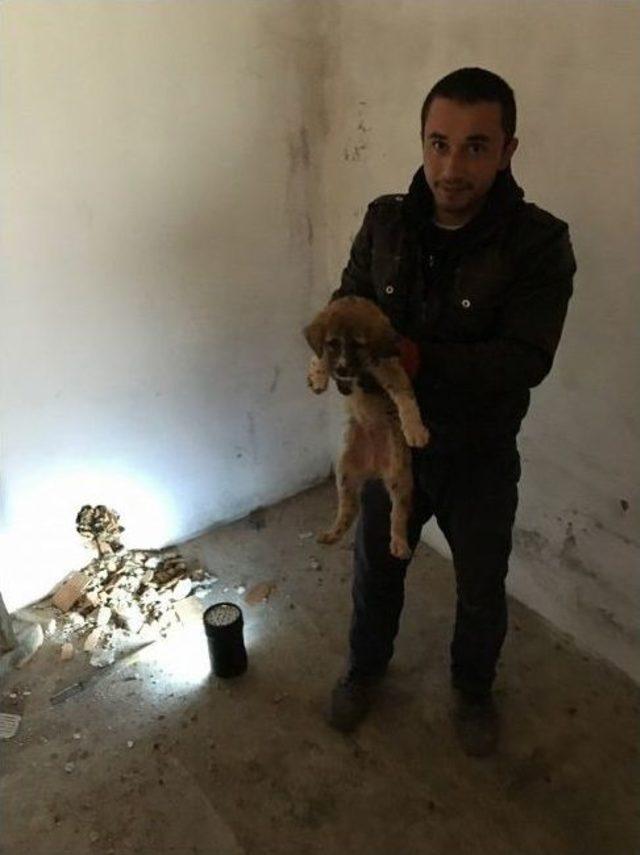 Duvarı Delerek Kurtardılar 1