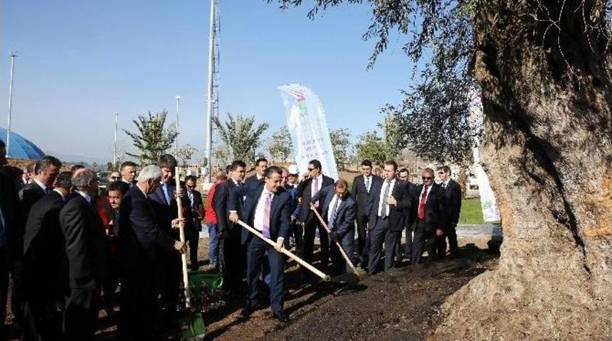 Bakan Faruk &Ccedil;elik, Expo 2016 Alanına Ağa&ccedil; Dikti