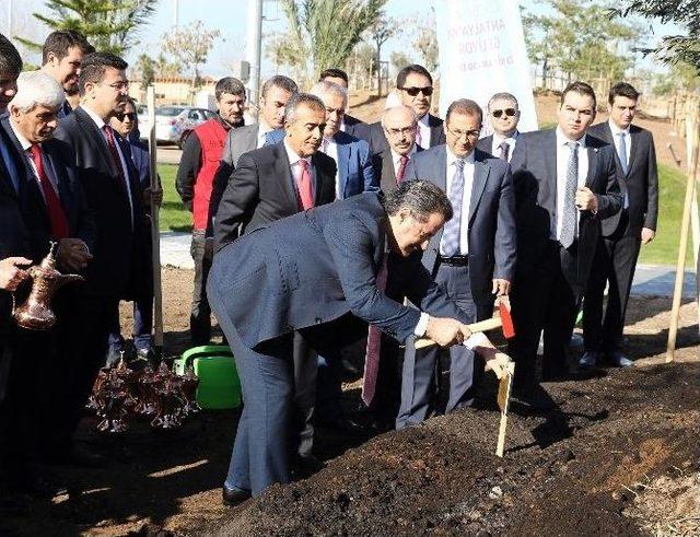 Bakan Faruk Çelik, Expo 2016 Alanına Ağaç Dikti