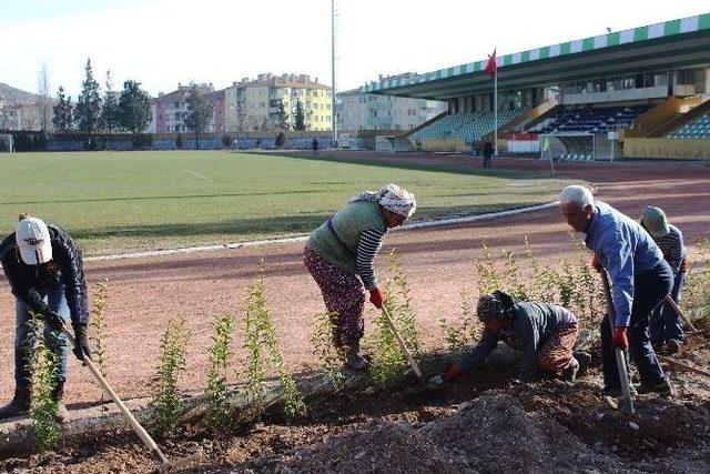 Tel Örgüler Kalktı