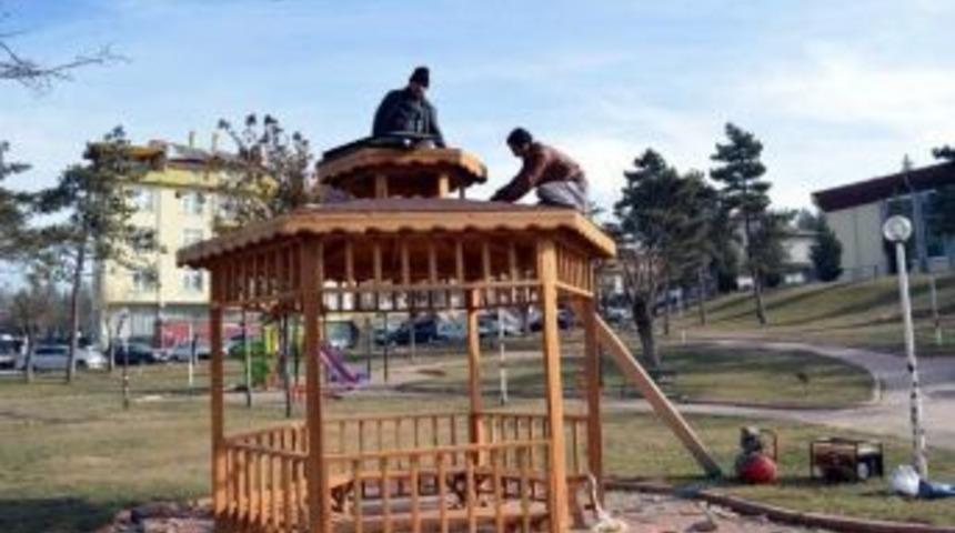 Tedaş Parkı&rsquo;na Kamelya