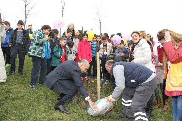 Bakırköy’de Çocuklar Meyveyi Dalından Koparıp Yiyecek