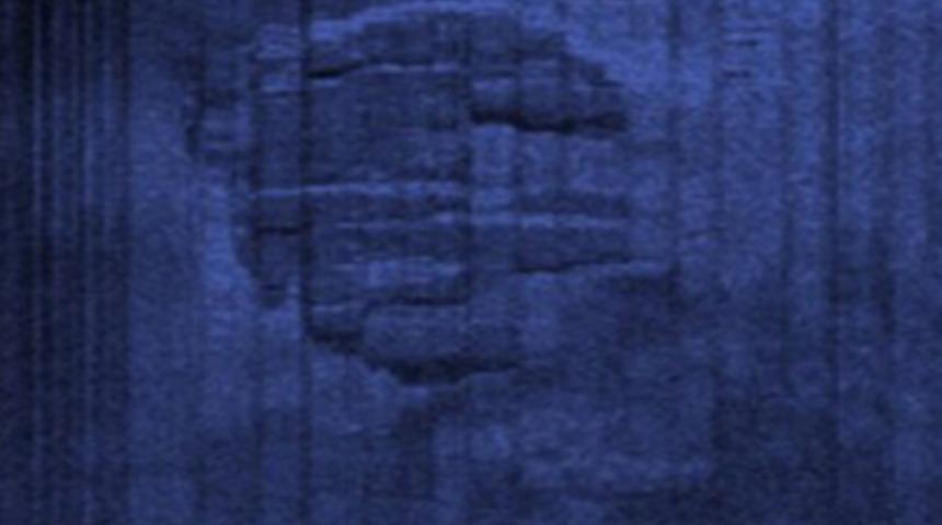 Ne olduğuna dair &ouml;yle bir iddia var ki...