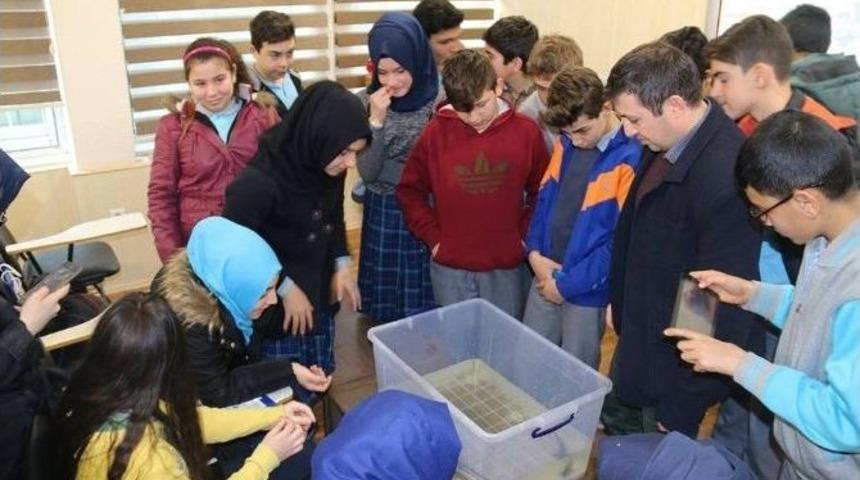 Trabzon&rsquo;da &Ouml;ğrencilere Deniz Ekosistemi Ve &Ccedil;evre Bilinci Anlatıldı