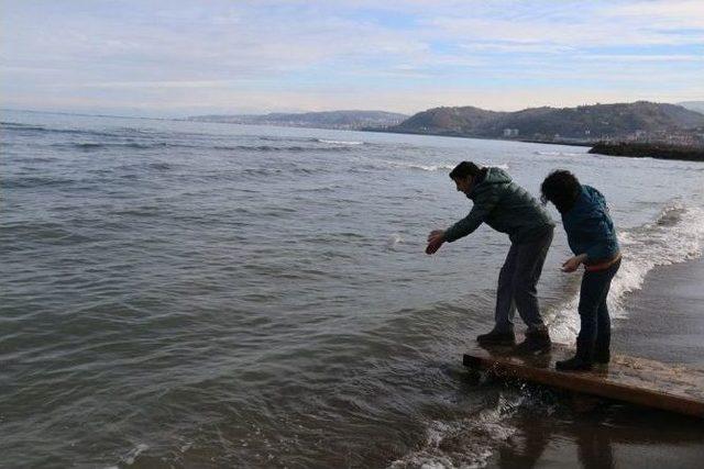 Trabzon’da Öğrencilere Deniz Ekosistemi Ve Çevre Bilinci Anlatıldı