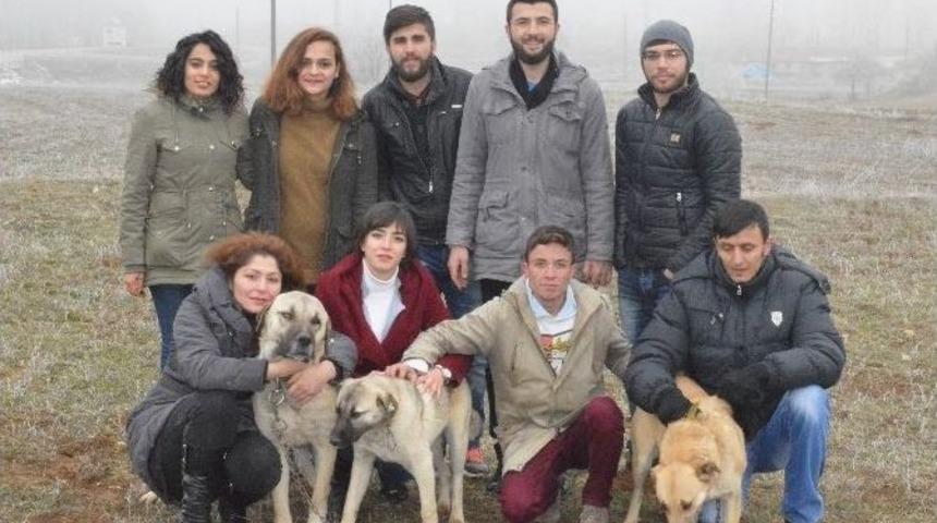 Kastamonu&rsquo;da &Uuml;niversiteli &Ouml;ğrencilerden &Ouml;rnek Davranış