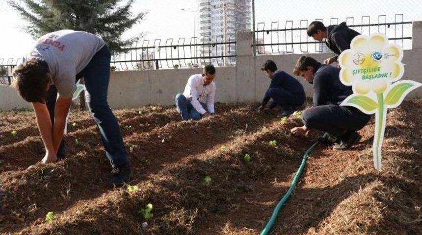 &Ouml;ğrenciler, Ekolojik Tarımla Tanıştı