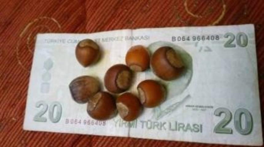 Fındık &Uuml;reticisinin &rsquo;20 Lira&rsquo; Esprisi