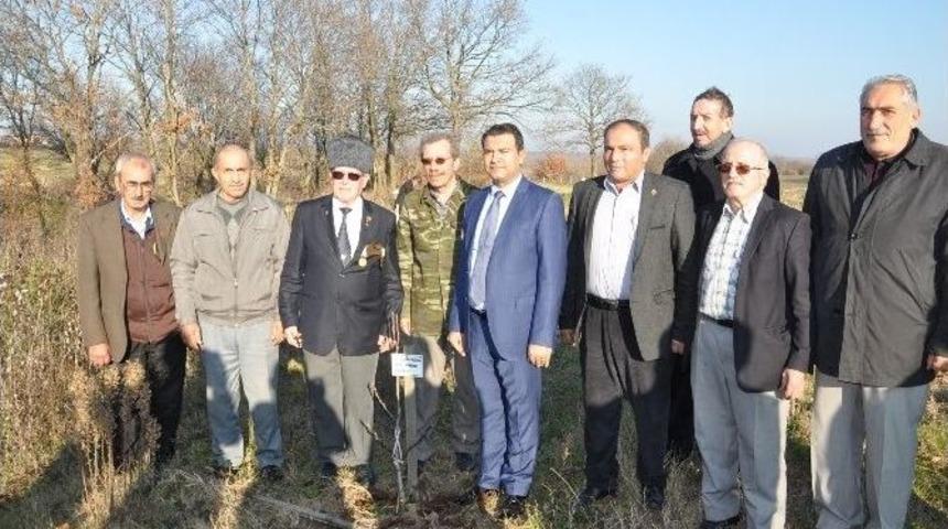 Kaymakam G&uuml;rb&uuml;z, Gaziler Fidanlığı&rsquo;nı Ziyaret Etti