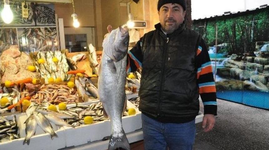 Kilosu 70 Liradan Alıcısını Bekliyor