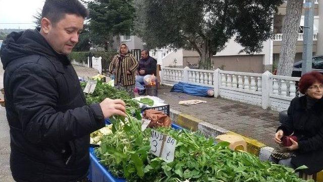 Yabani Otlar Köylülerin Geçim Kaynağı Oluyor