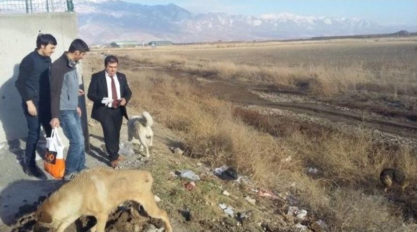 Yaban Hayvanları İ&ccedil;in Doğaya Yem Bırakıldı