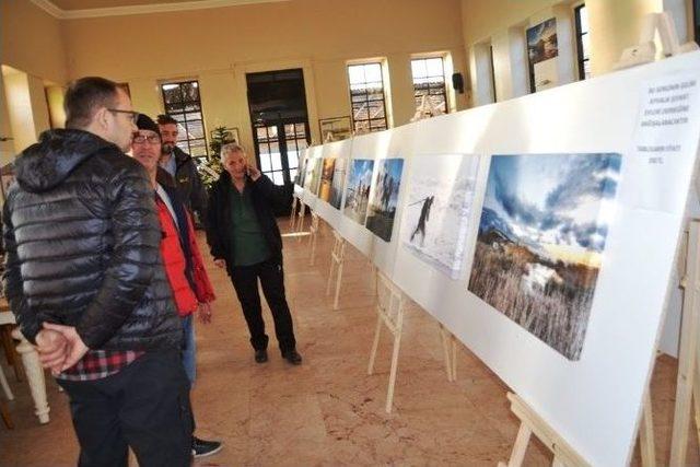 Ayvalık’ta Fotoğraf Sanatçısı Metin Uçak’tan Şefkatli Yardım