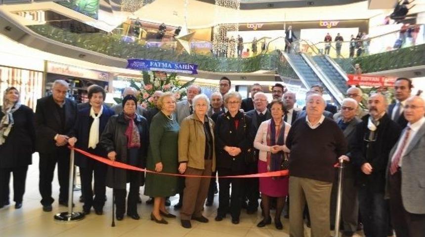 Yaşayan 100 &Ccedil;ınarın Fotoğrafı &Ccedil;ekildi