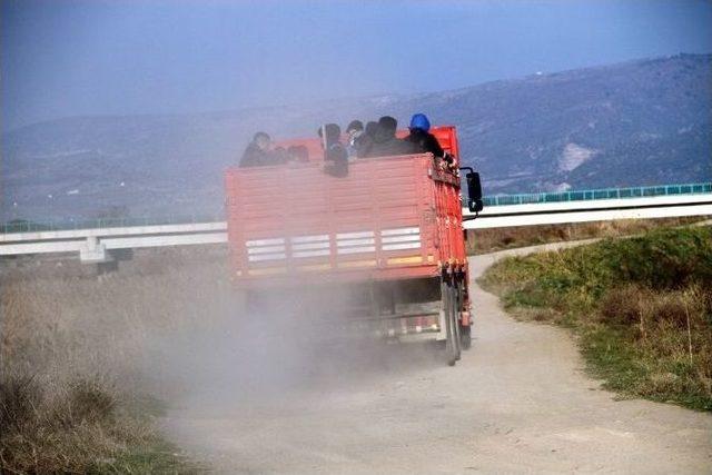 Otobüsle Geldiler, Yakalanıp Kamyonla Taşındılar