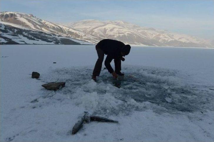 Buzda Balık Avı G5