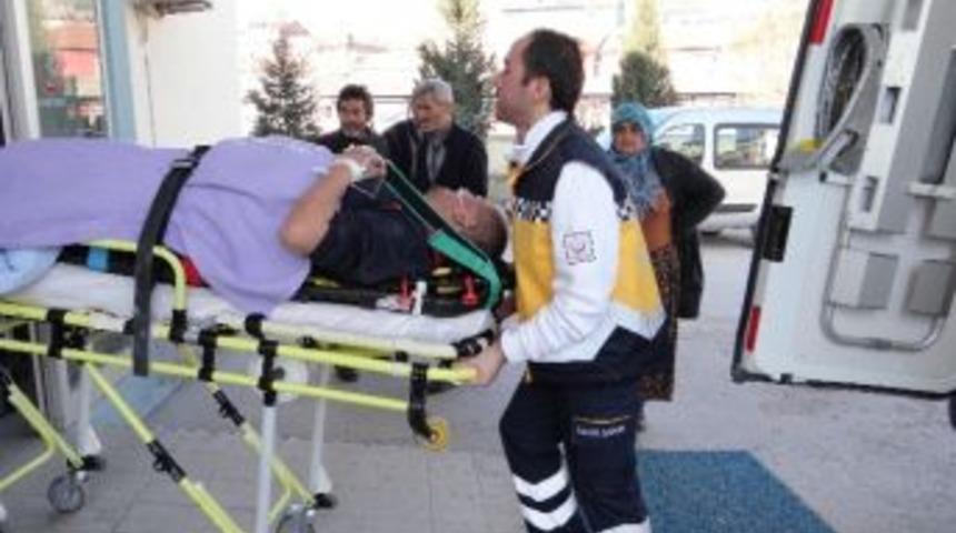 K&ouml;pek Kavgası Kanlı Bitti