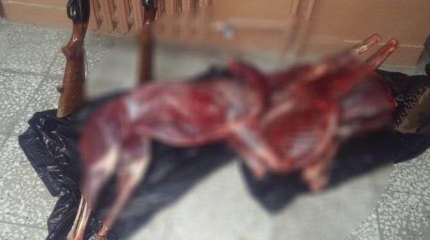 İzinsiz Karaca Avlayan 5 Kişi Su&ccedil;&uuml;st&uuml; Yakalandı