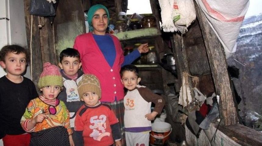 Zor Durumdaki Aileye Devlet Şefkati