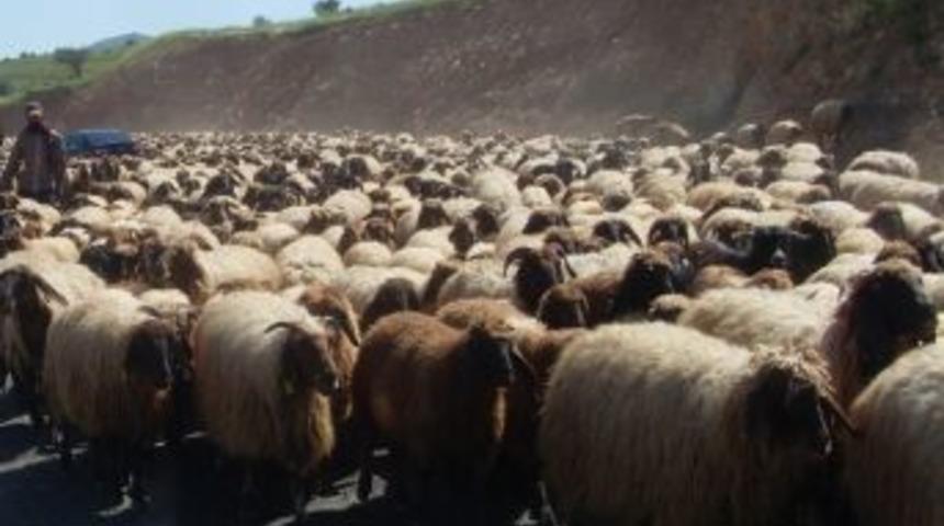 Kırklareli&rsquo;nde S&uuml;r&uuml; Y&ouml;netimi Kursu