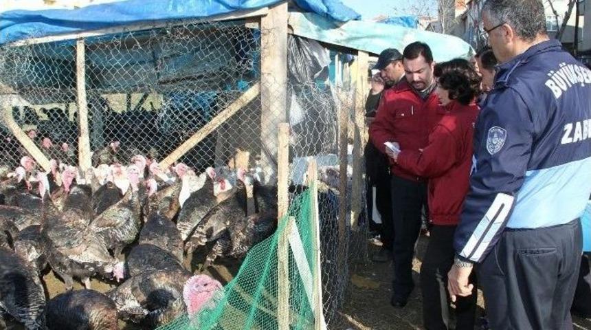 İbb Zabıtası&rsquo;ndan Hindi Denetimi