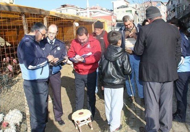 İbb Zabıtası’ndan Hindi Denetimi