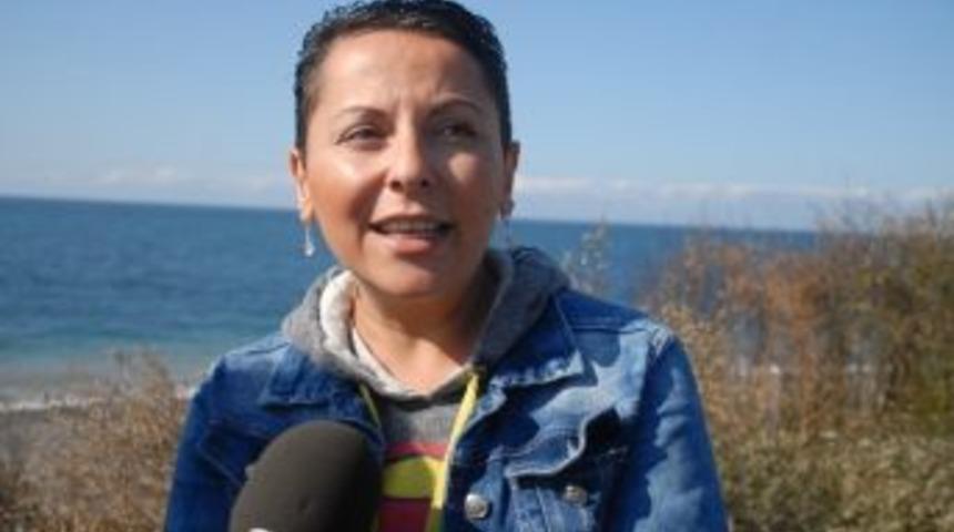 Hayvan Hakları Derneğinden "yılbaşı" &Ccedil;ağrısı