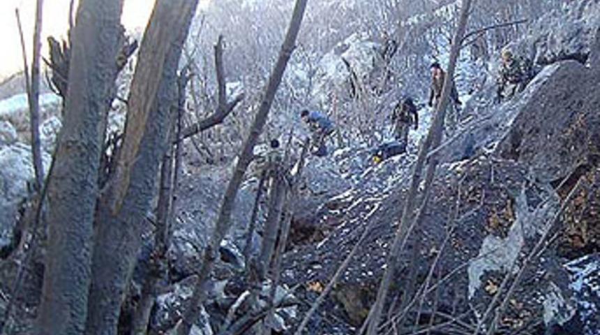 Kandilcikler yok ediliyor