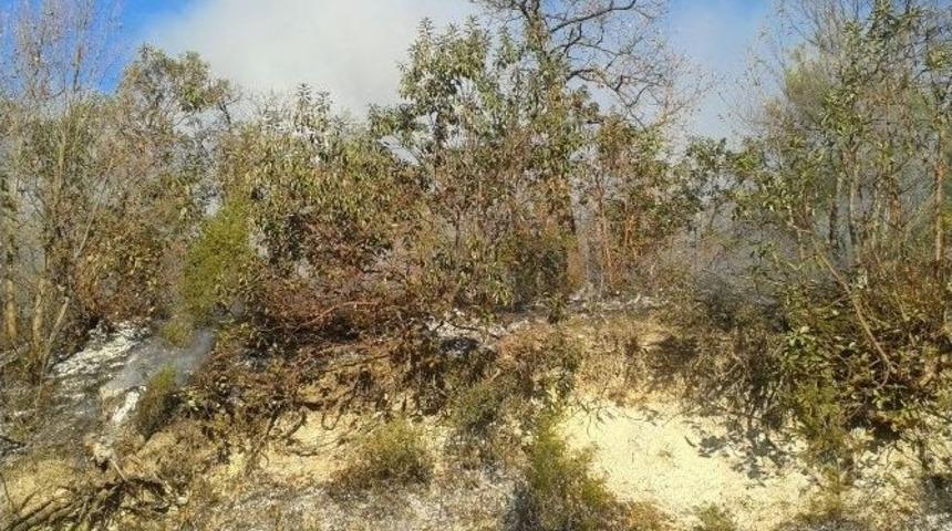 Meşelik Alandaki Yangını Orman İş&ccedil;ileri S&ouml;nd&uuml;rd&uuml;